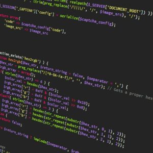 Custom Web Development Service